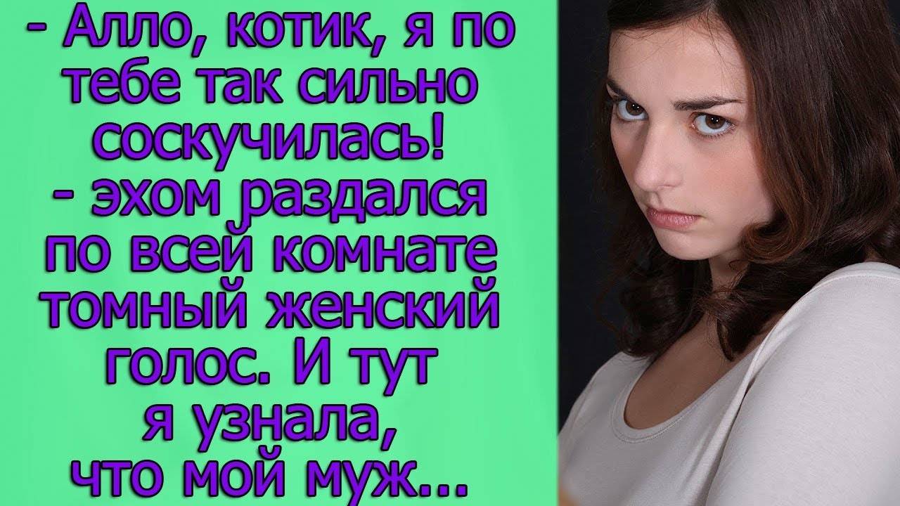 -Алло, котик, я по тебе так сильно соскучилась!- эхом раздался по всей квартире томный женский голос