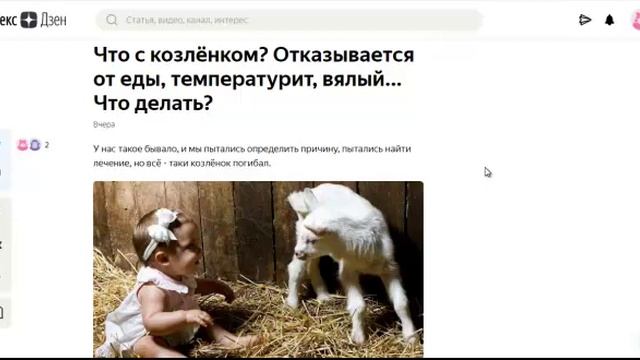 Что с козлёнком_ Отказывается от еды, температурит, вялый... Что делать_