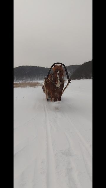 22.02.2025 я и Лена возвращаемся с Синего камня на реке Белой