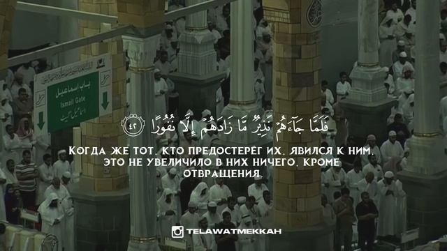 сура Фатыр (38-45) || шейх Фейсал аль Газзави