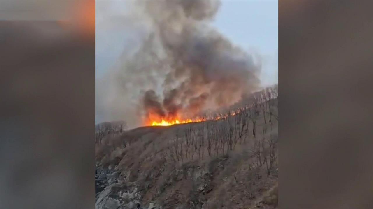 В Приморском крае удалось остановить природный пожар