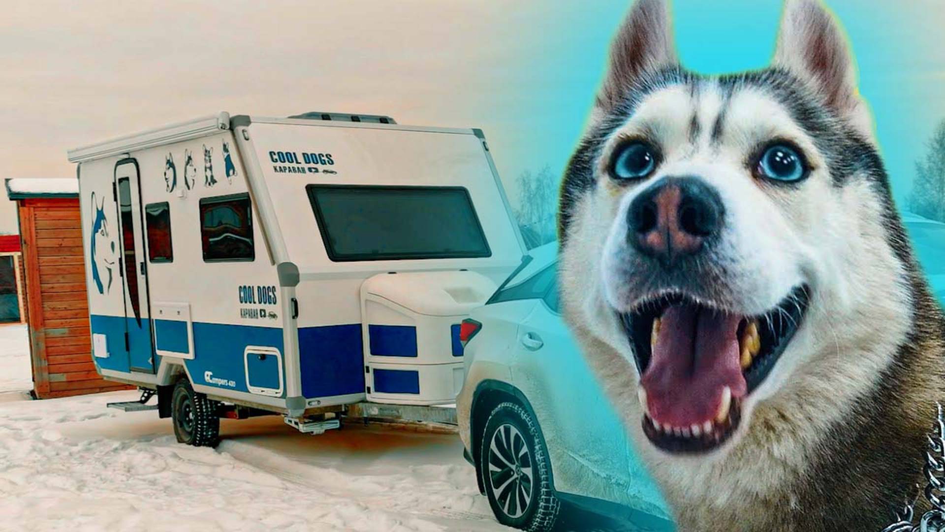 ЕДЕМ В МОСКВУ ЗА ДОМОМ НА КОЛЕСАХ! Cool Dogs Караван