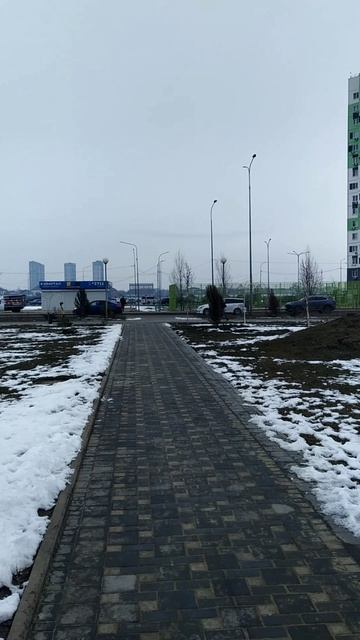 Краснодар 03.02.25 температура воздуха утром