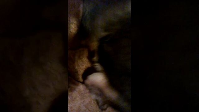 20170522_211310