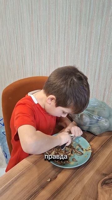 Картофелечистка.
#юмор #хасанстан #злойповар #картофелечистка