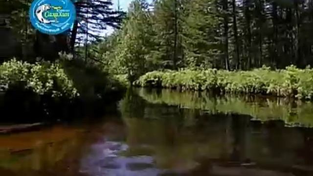 Сплав по реке Таежной на Сахалине.(360p_H.264-AAC)