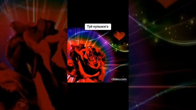 Ринат Шакиров. Туй кульмэгэ