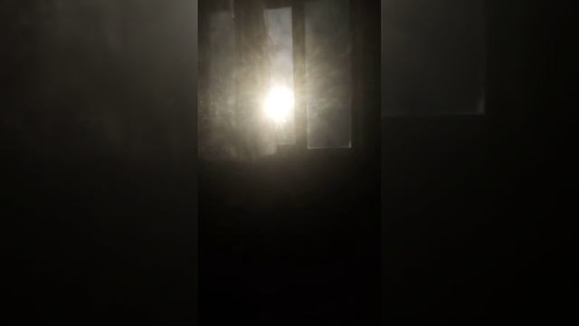 13 мая 2021 г.