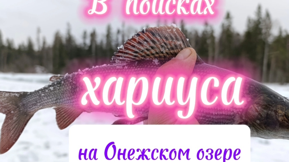 В поисках. хариуса на Онежском озере.