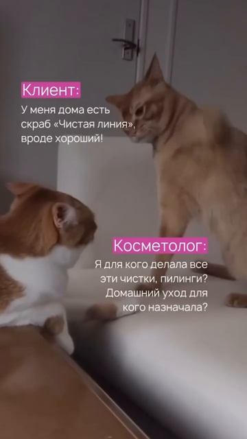 1002105040.mp4