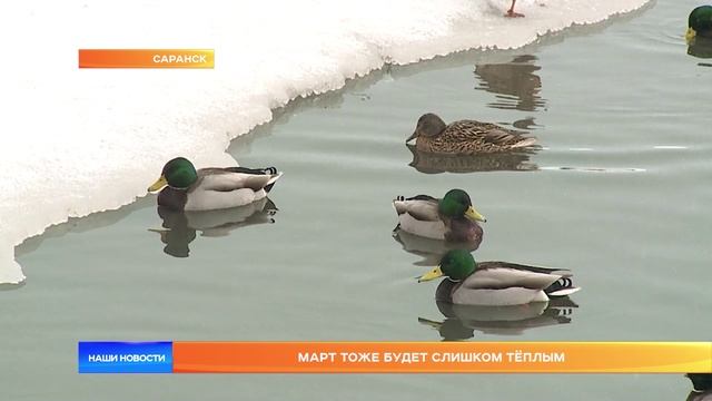 Март тоже будет слишком тёплым