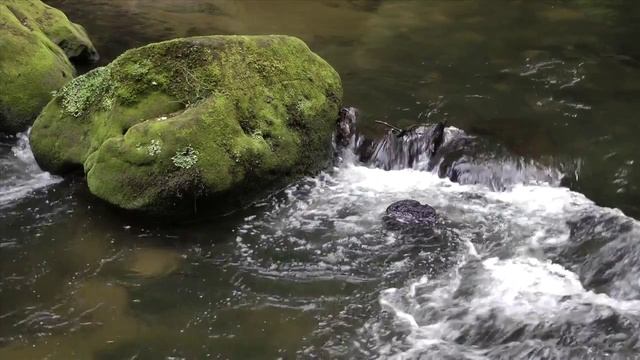 Morning in Bohemian Switzerland(720p_H.264-AAC)