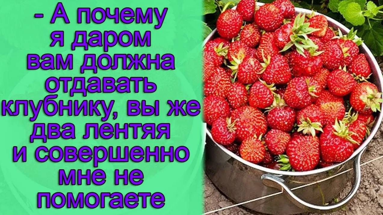 - А почему я даром вам должна отдавать клубнику, вы же два лентяя и совершенно мне не помогаете