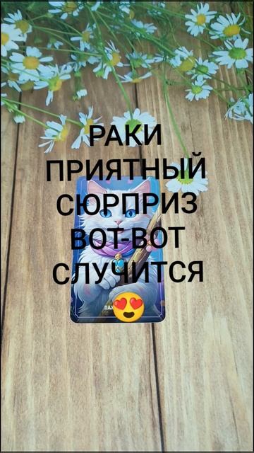 #РАКИ ПРИЯТНЫЙ СЮРПРИЗ ВОТ-ВОТ НА ПОРОГЕ ❤️😍🥰#ГаданиеНаБудущее #ТароГадание