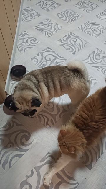 А как все хорошо начиналось...