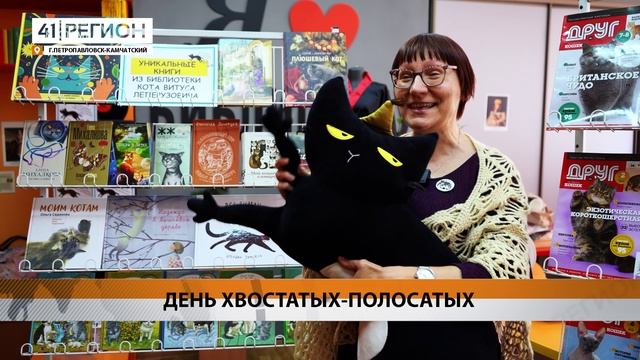 ФЕСТИВАЛЬ «КОШАЧИЙ МИР» ПРОШЁЛ В КАМЧАТСКОЙ КРАЕВОЙ БИБЛИОТЕКЕ • НОВОСТИ КАМЧАТКИ