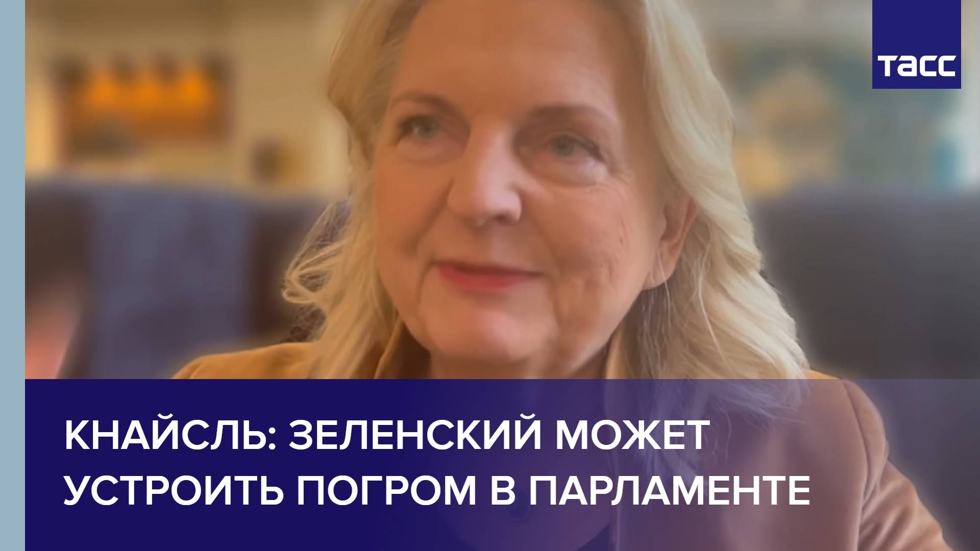 Кнайсль: Зеленский может устроить погром в парламенте