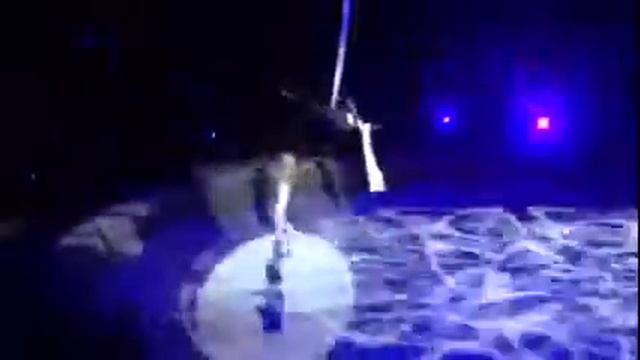 Воздушные полотна  Заслуженные артистки России Елена Петрикова и Елена Бараненко