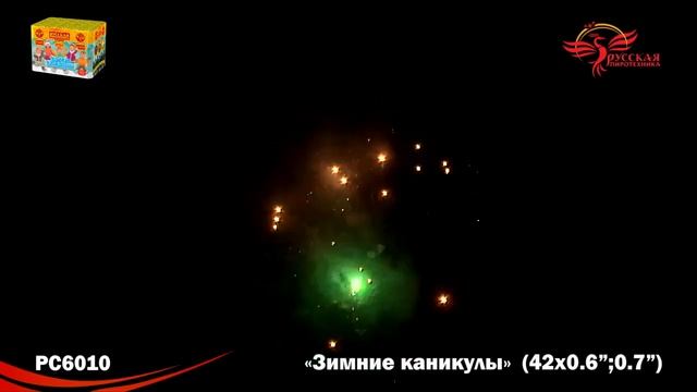 РС6010 Салют "Зимние каникулы"