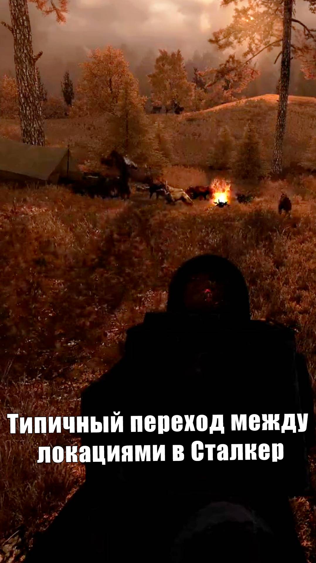 А как у вас выглядит переход между локациями? #stalker #смешныемоменты #игры #twitch