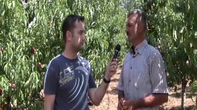 morsiani51.mp4