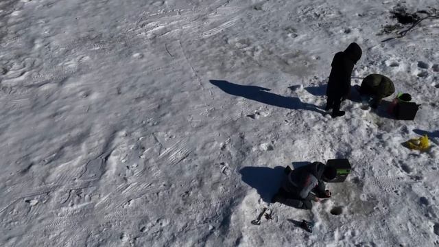 Тренировка Детская школа спортивной рыбалки 02.03.2025 р. Зея