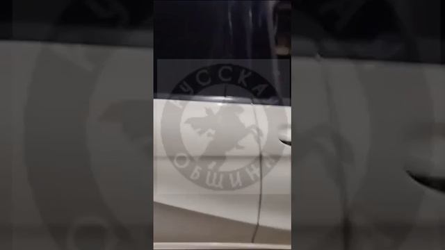 Русская община Пресекла вечеринку Садомитов.