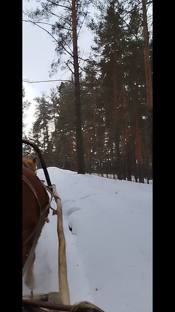 22.02.2025 я и Лена возвращаемся с Синего камня на реке Белой