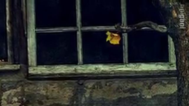 Leonard Cohen & Anjani Thomas  - Undertow