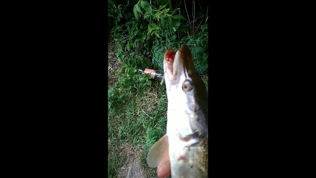 Скоро будет новое выдео