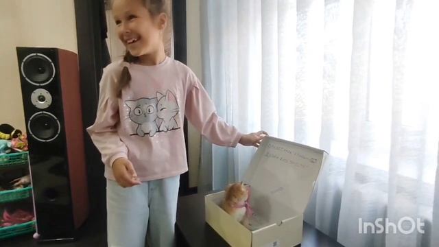 Появление Плюши в доме. ❤️