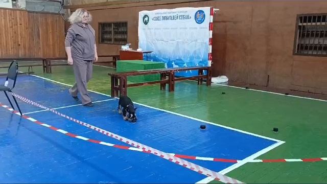 1000025517.mp4