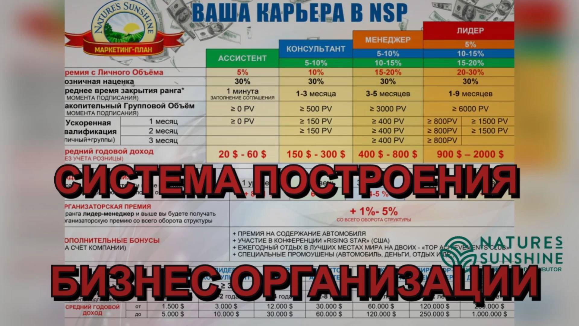 Система построения бизнес организации.