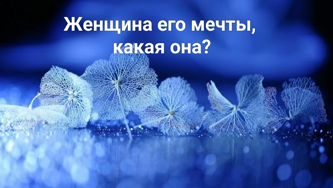 Женщина его мечты, какая она?