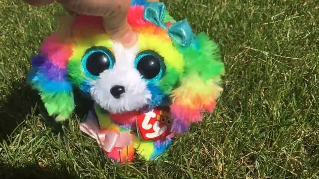 Sorry Not sorry |  Beanie Leopard Productions and Beanie boo Girl collab!