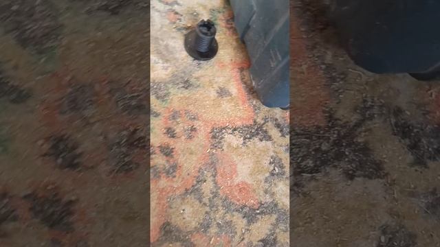 1000054272.mp4