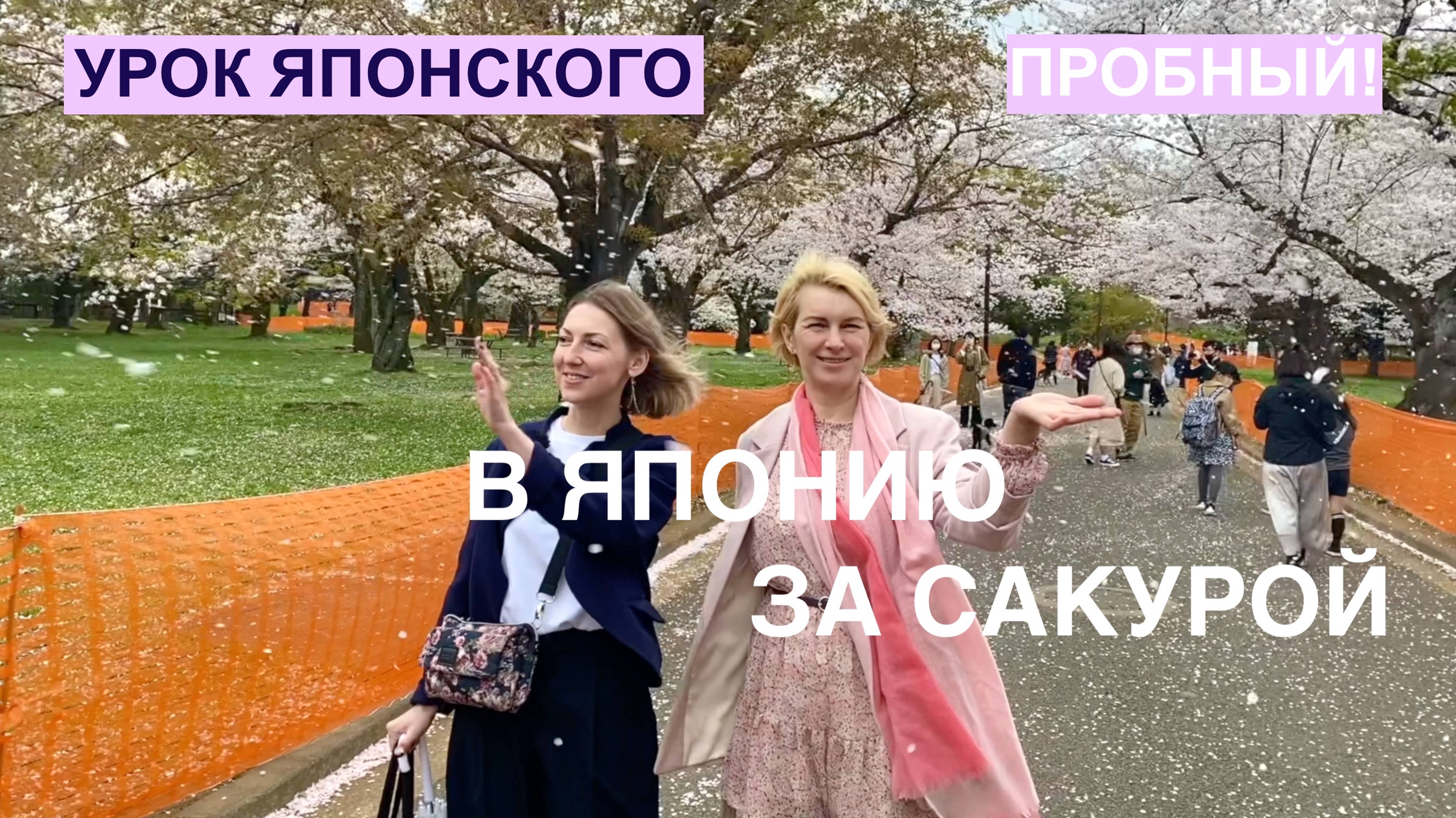 Обучение в Японии. Пробный урок японского языка на тему "Сакура".