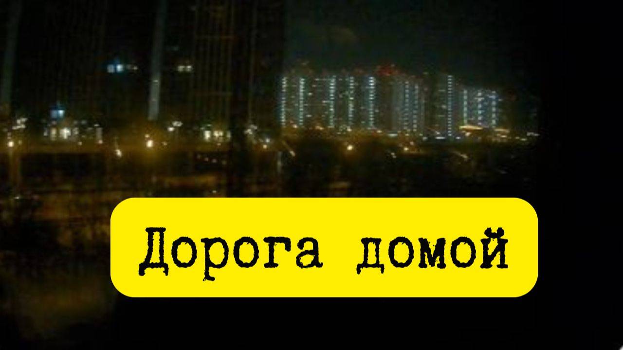 Москва часть 4, дорога домой, поезд Москва -Брянск