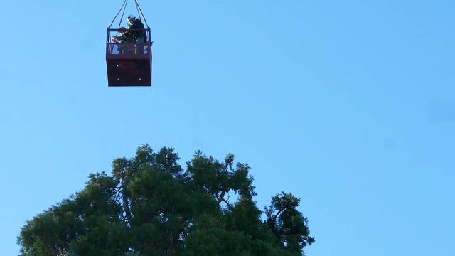 WOU Holiday Tree Lighting 2022 Preview