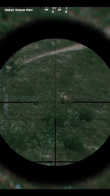 Hunting on GTA V RP #grandtheftauto #gtav #gta5 #gtarp #fivem #fivemroleplay #gta5online #gta5rp