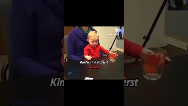 Eine Studie "wie ein Streit das Kind beeinflüßt"