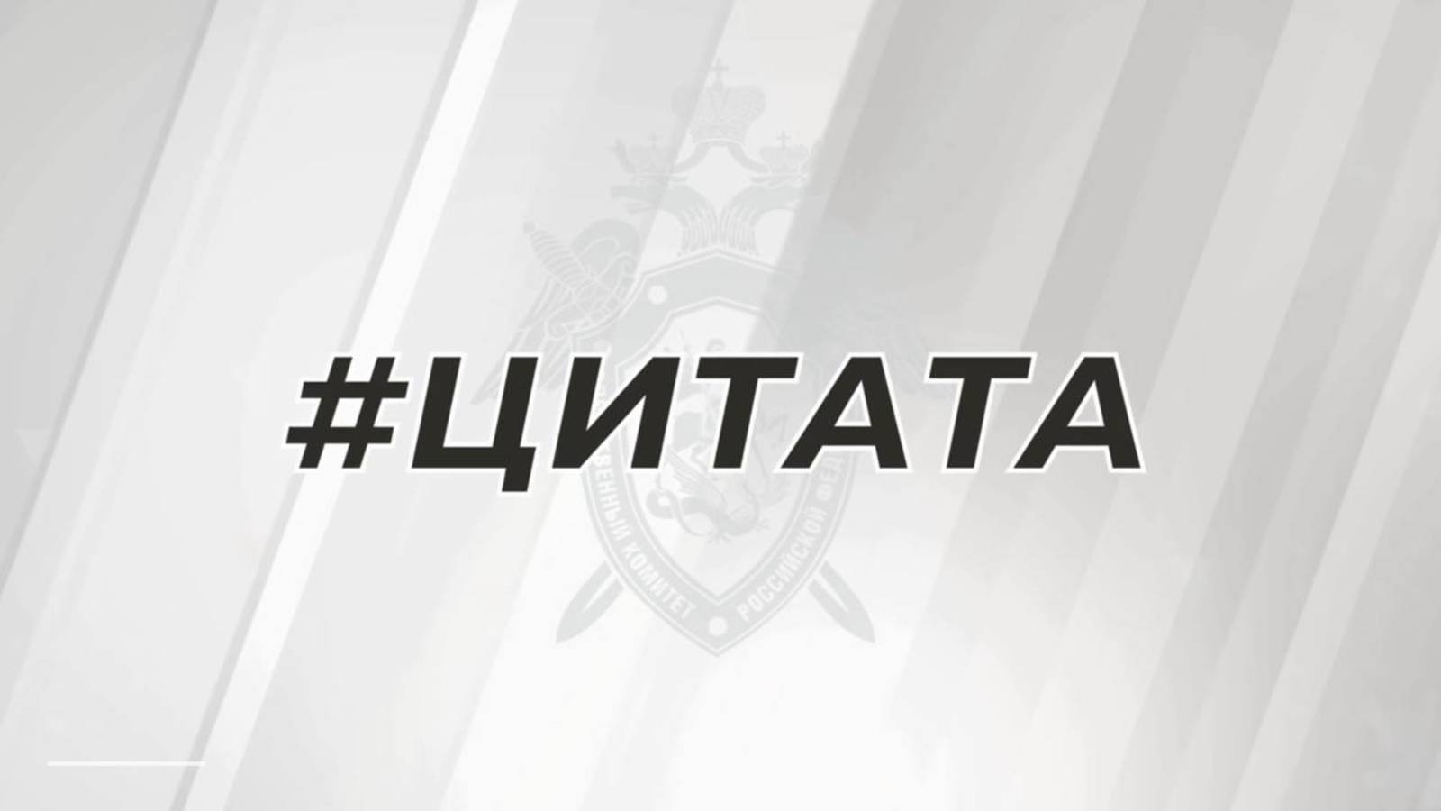 Из интервью А.И. Бастрыкина информационному агентству ТАСС