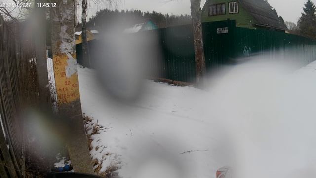 прудик в берёзке