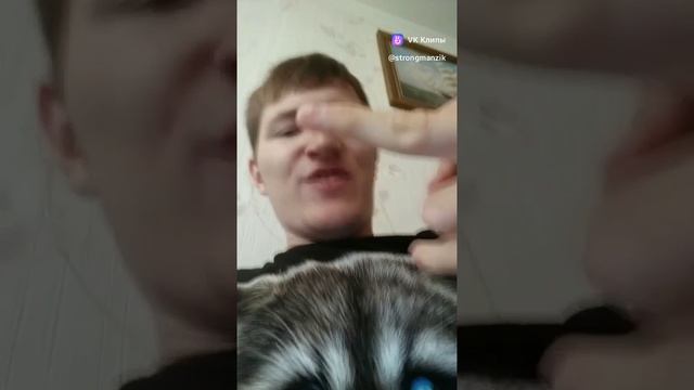 Ненавижу вас Хейтеры