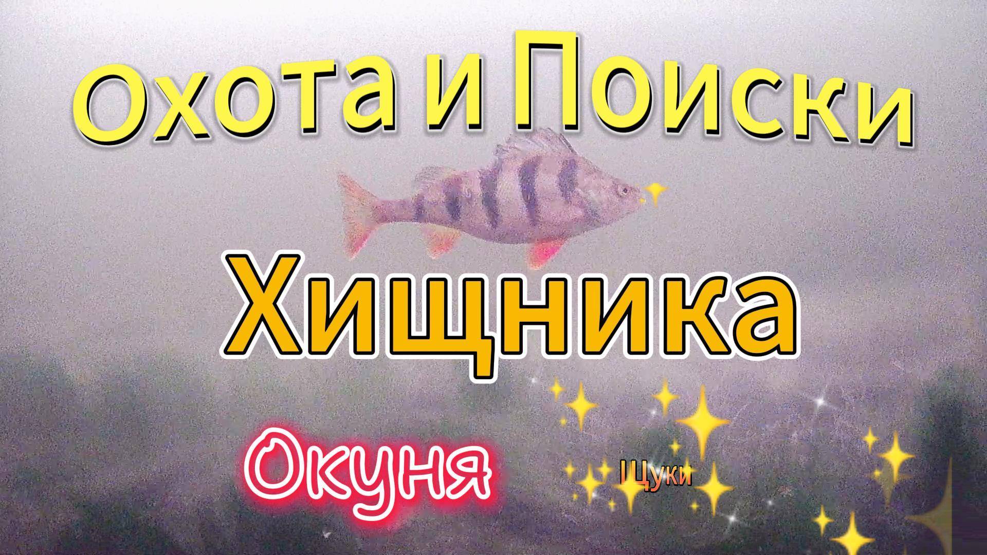 ОХОТА И ПОИСКИ ХИЩНИКА В ГОРОДЕ ПОДО ЛЬДОМ ДВА ДНЯ ПОДВОДНАЯ Охота и Рыбалка НА окуня Щуку