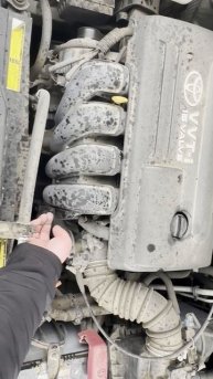 share ZNM10W-0026924