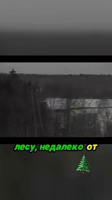 Жестокие убийства водителей в России