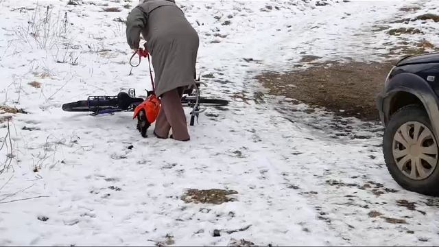 1000025479.mp4