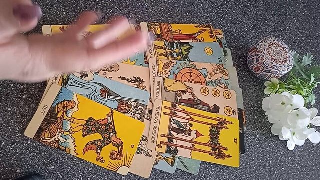 VID_20250303_122957.mp4