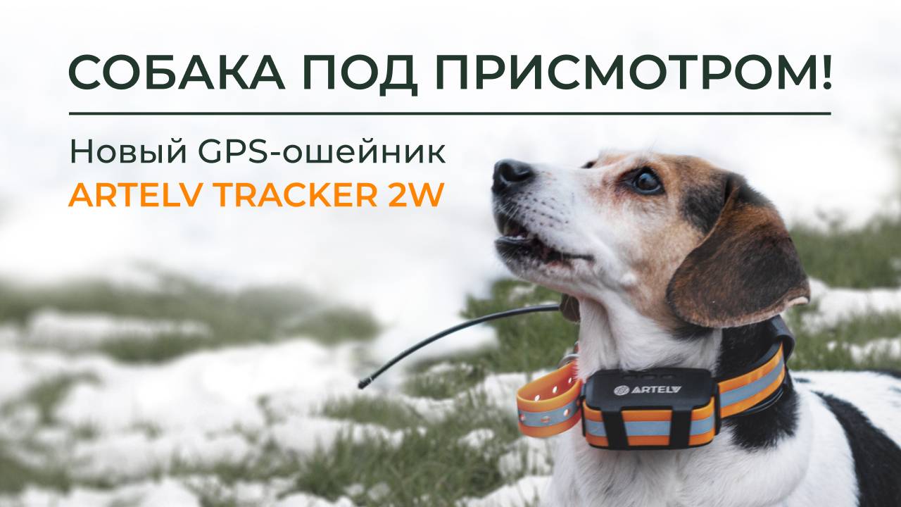 Собака под присмотром! Новый GPS-ошейник с усиленным сигналом